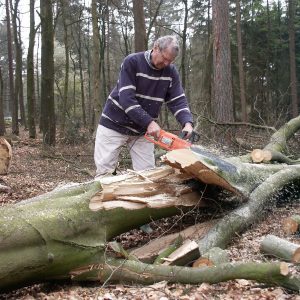 Ommen houtzagen